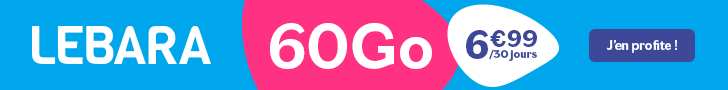 Lebara 60 Go